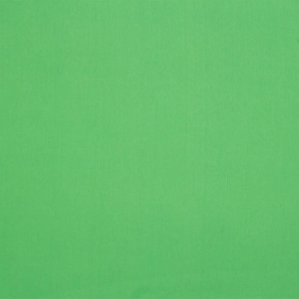 Apple Green Silk Georgette