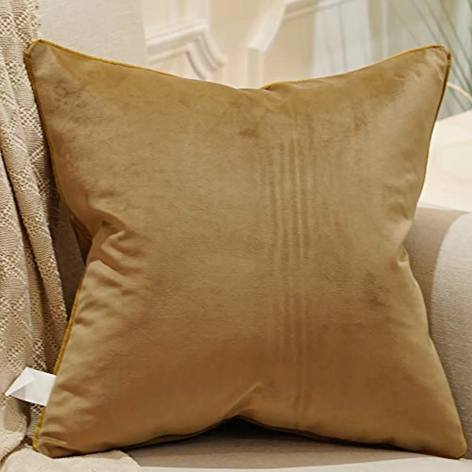 Embroidery Velvet Luxury European Pillow Case