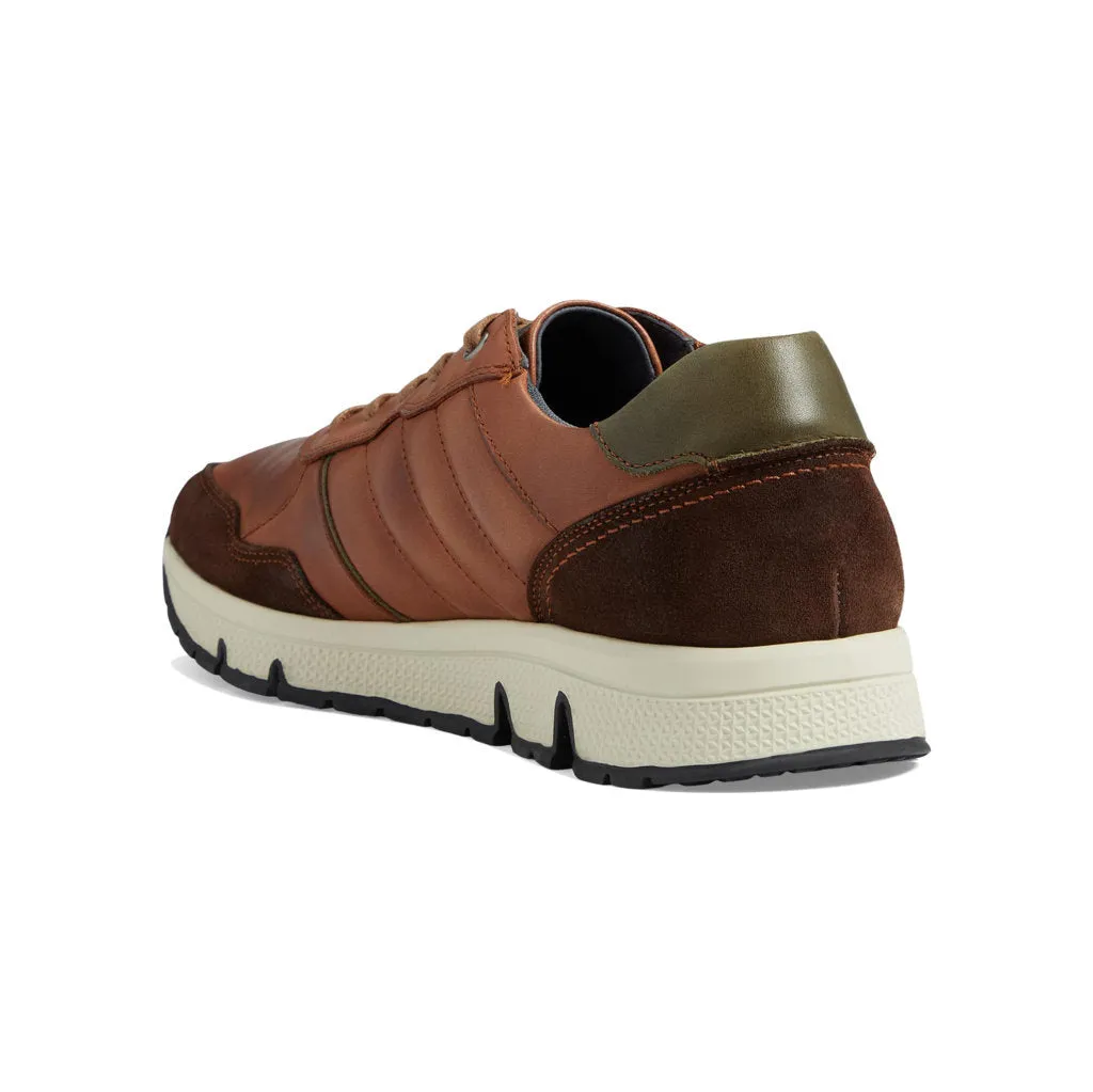 Ferrol Leather Men's Low Top Trainers