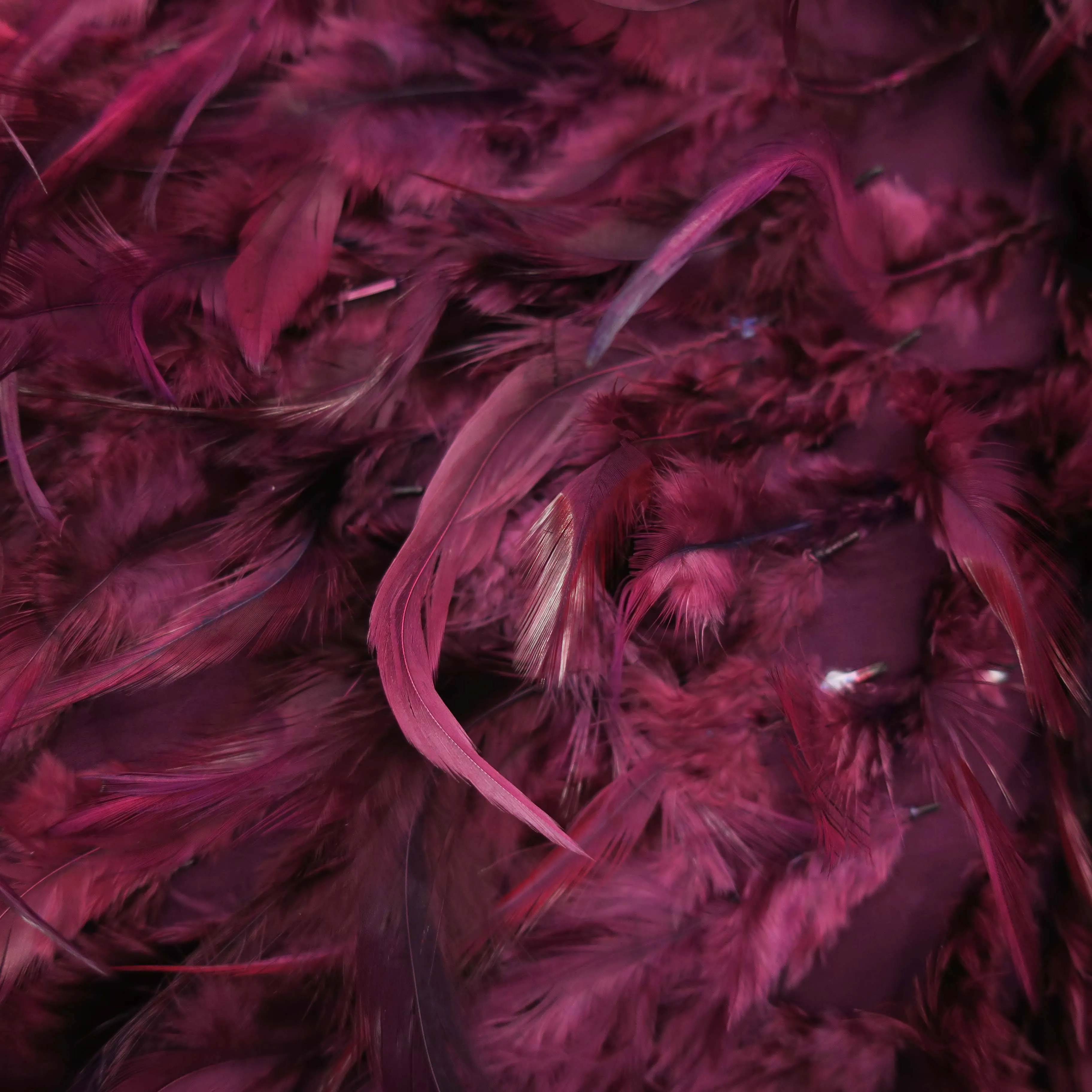 Wine Red Feathered Embroidered Fashion Fabric